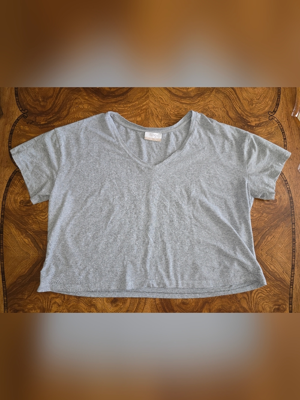 Alexander Jane Grey V-Neck Short Sleeve Crop T-Shirt Womens Size 1X/2X